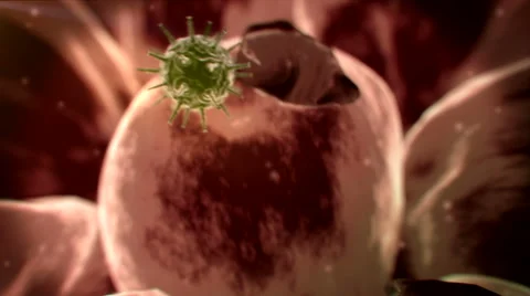 Virus, cell Stock Footage 43087590