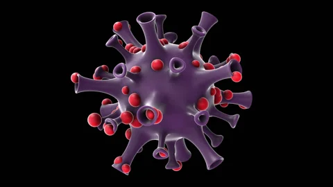 Virus Cell Video stock 133398137