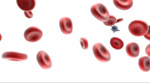 Virus cell infecting the blood 스톡 동영상 6744779
