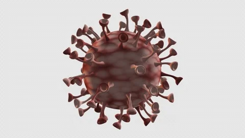 Virus Cell Looped With Alpha Video stock 346744228