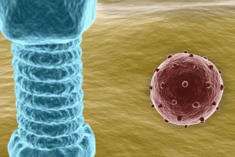 Virus on cell surface Stock Illustration