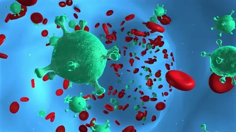 Virus cells in an artery, flow inside body. 3d render Stock Footage 143109052
