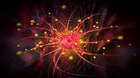 Virus cells bacteria animation Stock Footage 63165371