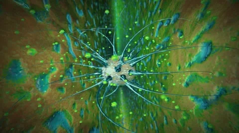 Virus cells bacteria animation Stock Footage 63165378