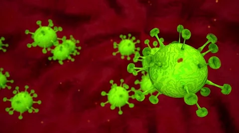 Virus cells bacteria animation Stock Footage 63257553