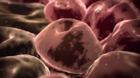 Virus, cells Stock Footage 43087539