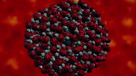 Virus cells multiplying and replicating from a single cell. Stock Footage 139048160