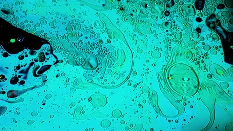 Virus cells or bacterias under microscope lens. Stock footage. Extreme close up Stock Footage 130079839