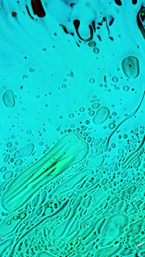 Virus cells or bacterias under microscope lens. Stock footage. Extreme close up Stock Footage 285930165