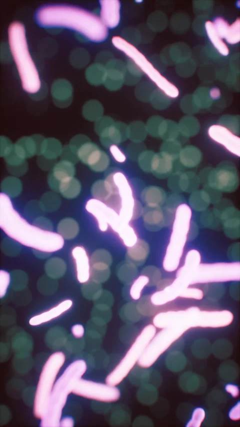 Virus cells or bacterias under microscope Stock Footage 317960112