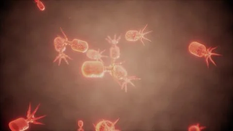 Virus cells or bacterias under microscope Illustrazione stock