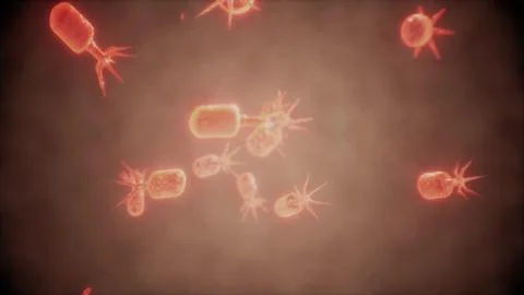 Virus cells or bacterias under microscope Stock Illustration