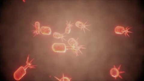 Virus cells or bacterias under microscope Illustrazione stock
