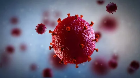 Virus cells under microscope 스톡 동영상 280060688