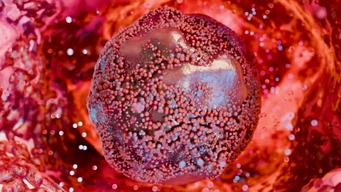 Virus Cells under microscope, Microbiome and Bacteria illness, Protein structure Stock Footage 312100208