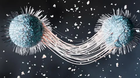 Virus Cells under microscope, Microbiome and Bacteria illness Video stock 314207403