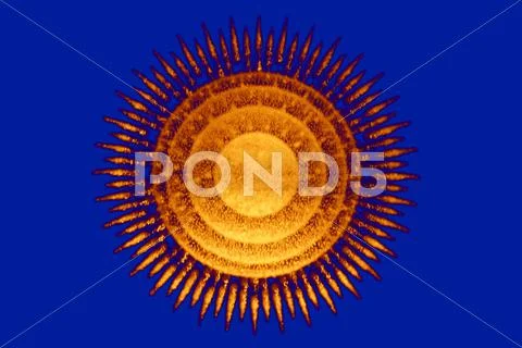 Virus, conceptual artwork Stock Illustration