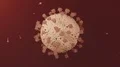 Virus coronavirus microscopic covid 19 cell ncov infection corona macro 4k or 4k+ Resolution