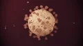 Virus coronavirus microscopic covid 19 cell ncov infection corona macro 4k or 4k+ Resolution