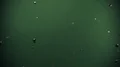 Virus coronavirus microscopic covid 19 cell ncov infection corona macro 4k or 4k+ Resolution