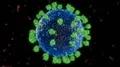 Virus coronavirus microscopic covid 19 cell ncov infection corona macro 4k or 4k+ Resolution