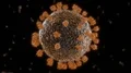 Virus coronavirus microscopic covid 19 cell ncov infection corona macro 4k or 4k+ Resolution