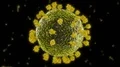 Virus coronavirus microscopic covid 19 cell ncov infection corona macro 4k or 4k+ Resolution