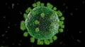 Virus coronavirus microscopic covid 19 cell ncov infection corona macro 4k or 4k+ Resolution