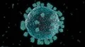 Virus coronavirus microscopic covid 19 cell ncov infection corona macro 4k or 4k+ Resolution