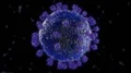 Virus coronavirus microscopic covid 19 cell ncov infection corona macro 4k or 4k+ Resolution