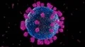 Virus coronavirus microscopic covid 19 cell ncov infection corona macro 4k or 4k+ Resolution