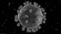 Virus coronavirus microscopic covid 19 cell ncov infection corona macro 4k or 4k+ Resolution