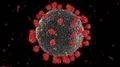 Virus coronavirus microscopic covid 19 cell ncov infection corona macro 4k or 4k+ Resolution