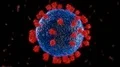 Virus coronavirus microscopic covid 19 cell ncov infection corona macro 4k or 4k+ Resolution