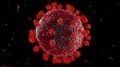 Virus coronavirus microscopic covid 19 cell ncov infection corona macro 4k or 4k+ Resolution