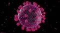 Virus coronavirus microscopic covid 19 cell ncov infection corona macro 4k or 4k+ Resolution