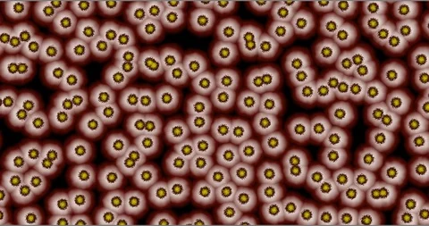 Virus COVID-19 moving close-up animation on black background 動画素材 127115174