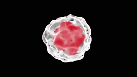 Virus digital hologram Stock Footage 172036982