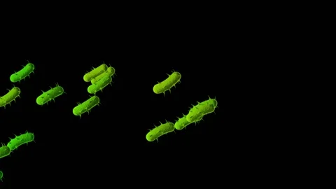 Virus Stock Footage 152050720