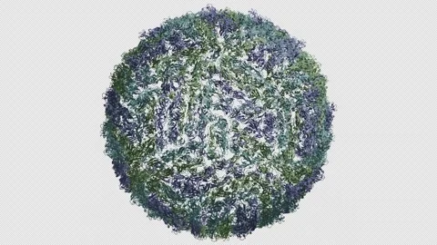Virus Stock Footage 305005555
