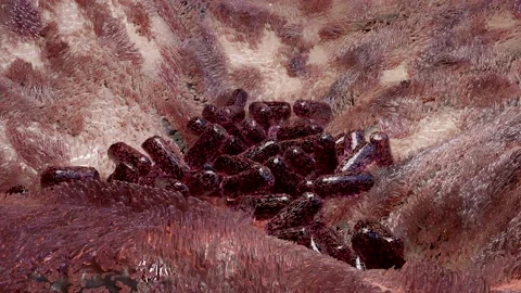 Virus Growth, cells multiplying, molecules reproduction division Video stock 229883636