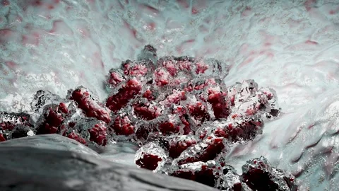 Virus Growth, cells multiplying, molecules reproduction division and cloning Stock Footage 256623193