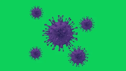 Virus higher quality video green screen 4k, Easy editable green screen vide.. Video stock 295946080