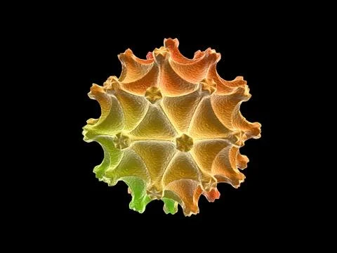 Virus Stock Illustration