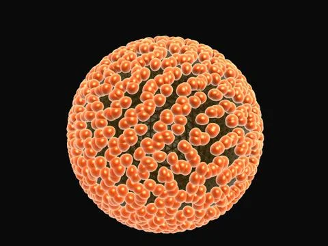 Virus Stock Illustration