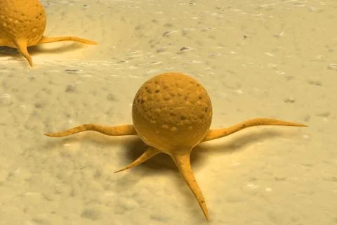 Virus.. Stock Illustration