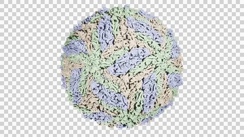 Virus illustration Stock Illustration