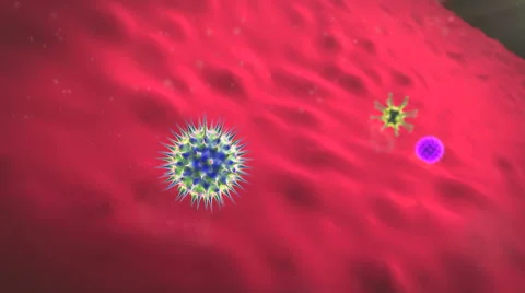 Virus, Immune cells Stock Footage 44749071