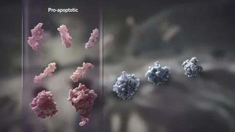 Virus infected cell Stock Illustration