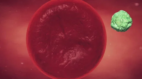 Virus infected cell, virus replication in the cell, virus replication in the liv Stock Footage 56137527